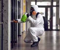 Why You Should Choose Our Mold Remediation Services in San Marcos, CA